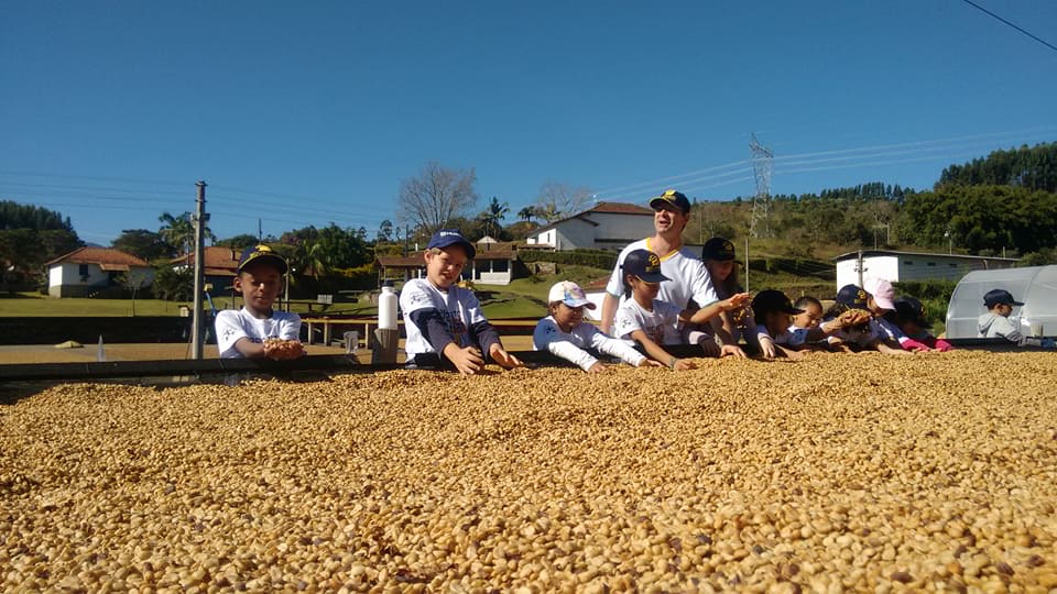 Doações e Manutenções